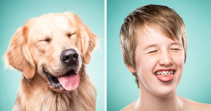 honden en gelaatsuitdrukkingen