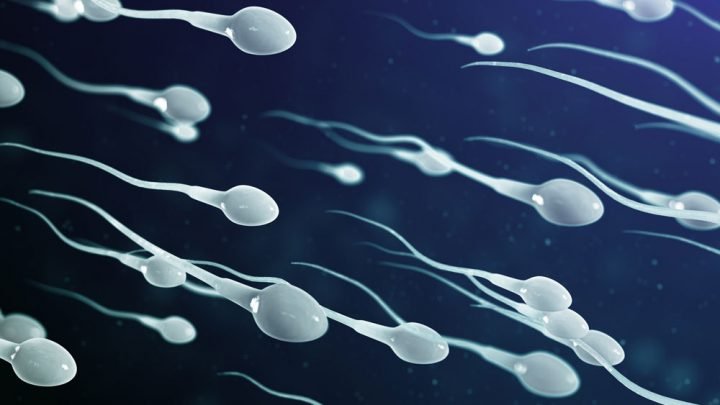 weetjes over sperma