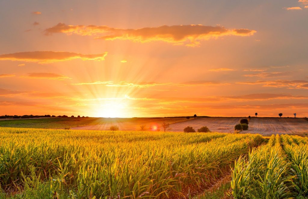 jezus christus en de zomer zonnewende