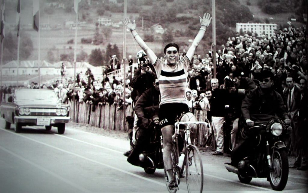 eddy merckx