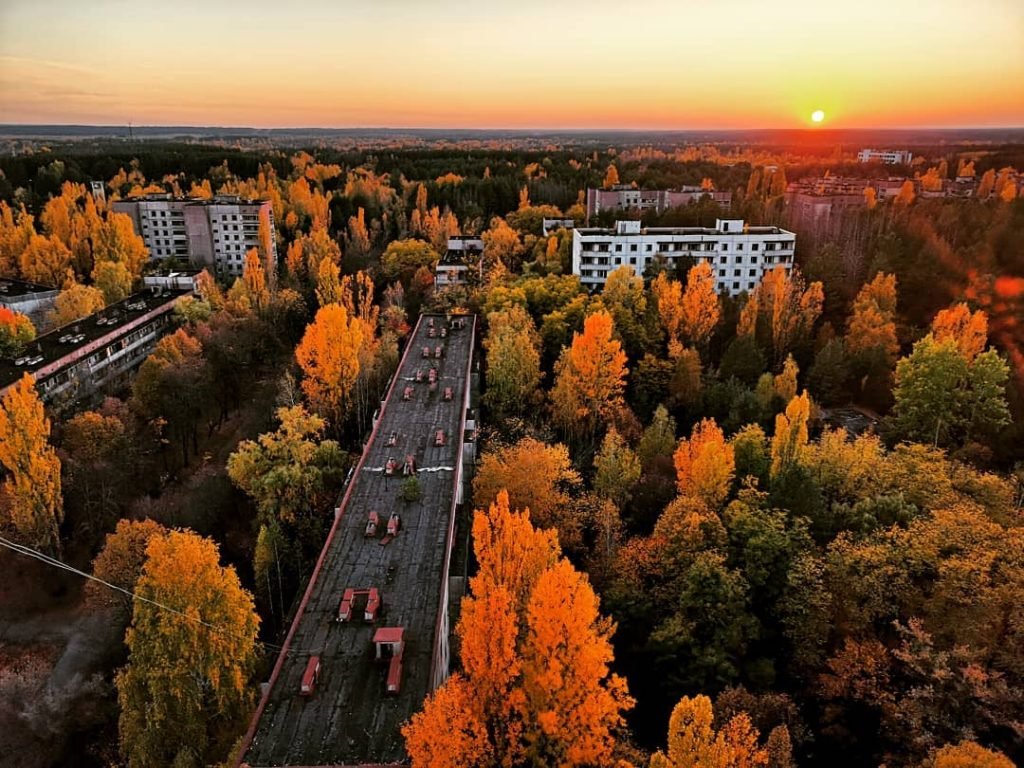 het rood bos by tsjernobyl