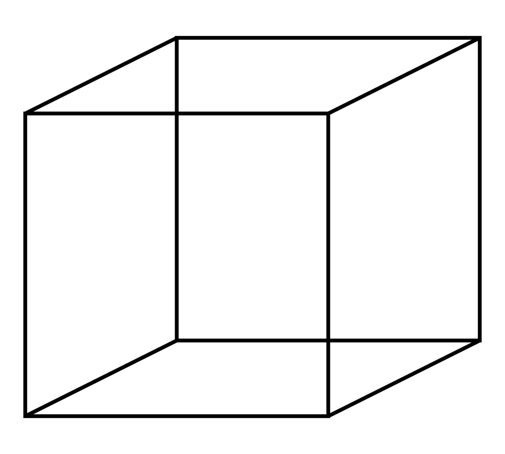 optische illusies necker kubus