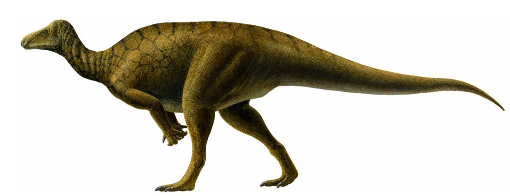 Hippodraco een lelijke dinosaurus