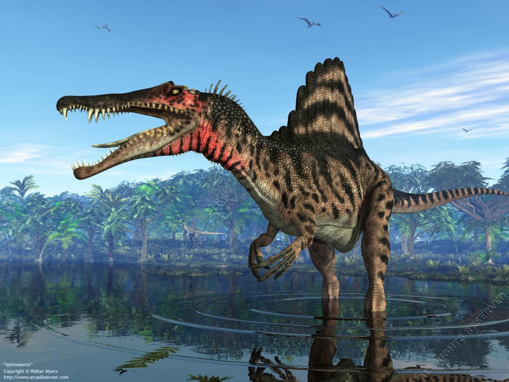 grootste vleesetende dinosauriers Spinosaurus