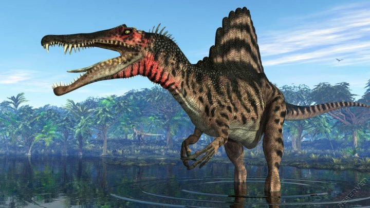 grootste vleesetende dinosauriers Spinosaurus