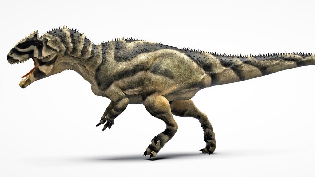 grootste vleesetende dinosaurussen Saurophaganax