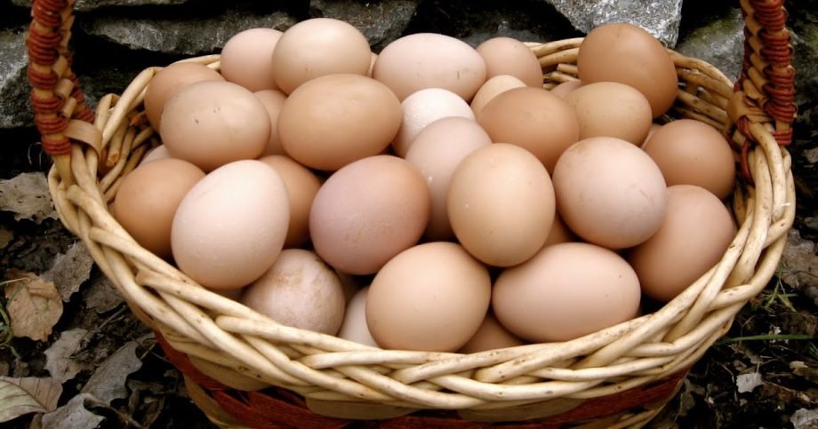 eieren en vegetarisme
